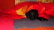 DSC06271.JPG
