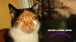 DSC01411 Kopie.jpg